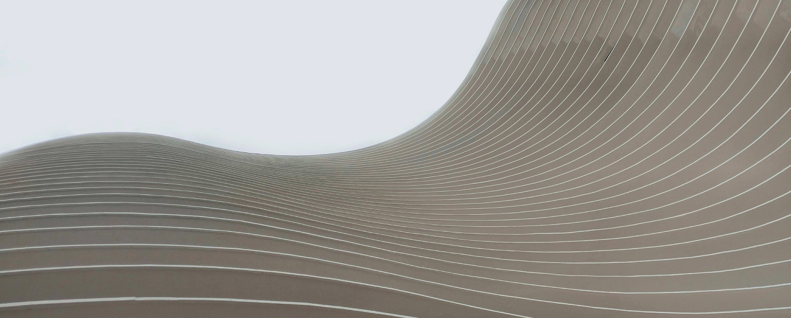 fas-governance-hero-min